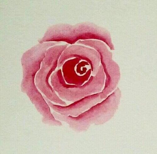Rosa10